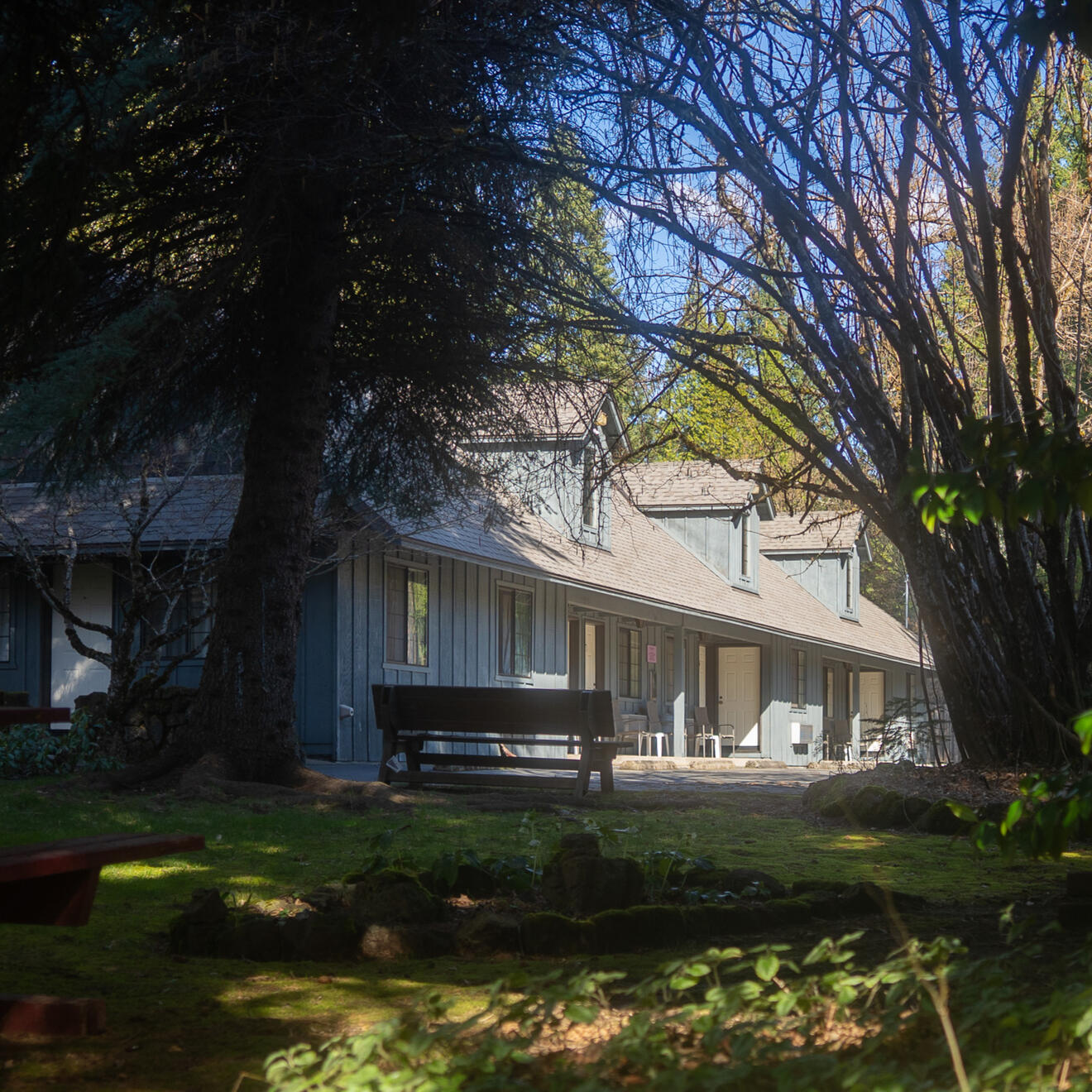 Logo for Jason's Plugins For Carrd